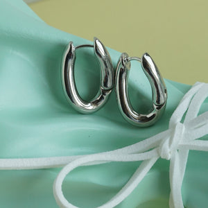 Sleek Gold/Silver hoop earrings