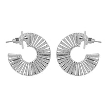 Load image into Gallery viewer, Chic Gold hoop earrings
