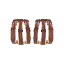 Load image into Gallery viewer, Classy Hoop Earrings
