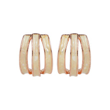 Load image into Gallery viewer, Classy Hoop Earrings
