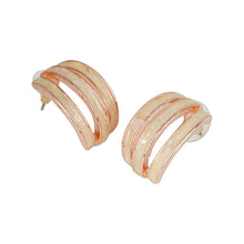 Load image into Gallery viewer, Classy Hoop Earrings