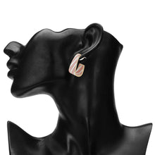 Load image into Gallery viewer, Striped Design Gold Accent Earrings