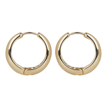 Load image into Gallery viewer, Classic Everyday Gold/Silver hoop earrings
