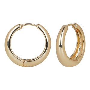 Classic Everyday Gold/Silver hoop earrings
