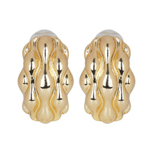 Load image into Gallery viewer, Classic Gold/Silver Earrings