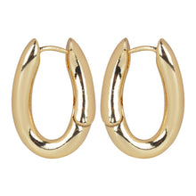 Load image into Gallery viewer, Sleek Gold/Silver hoop earrings