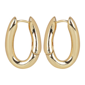 Sleek Gold/Silver hoop earrings
