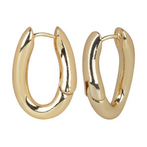 Sleek Gold/Silver hoop earrings