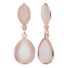 Load image into Gallery viewer, Rose Gold Drop Earrings