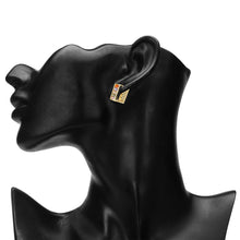 Load image into Gallery viewer, TRIBAL ZONE ELEGANT MULTI COLOR  ZX STONE LEVER BACK EARRING