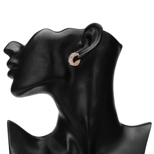 TRIBAL ZONE STYLISH ROSE GOLD ZX STONE LEVER BACK EARRING