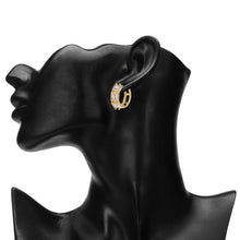 Load image into Gallery viewer, TRIBAL ZONE MODISH ZX STONE LEVER BACK  GOLD EARRING